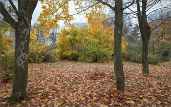 In the fall the park ... / ***