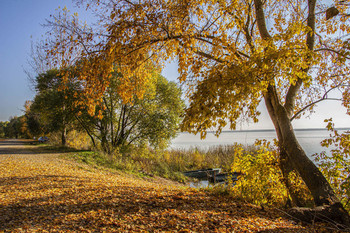 Autumn on the Lake / ***