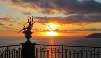 sunset on the sea / sunset over the sea seen from a terrace with silhouette of a succulent plant in pot