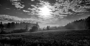 Dreamland / A misty morning in the Finnish countryside
