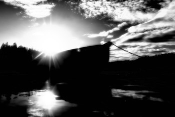 Life around / ***