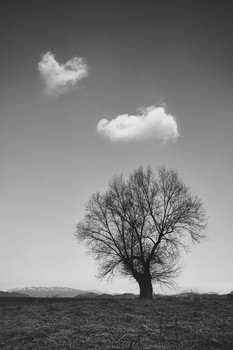 Thinking tree / I think I'm alone