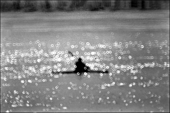 Season opening / ***