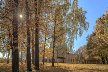 Sunny afternoon / ***