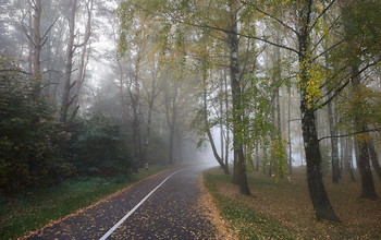Autumn road / ***
