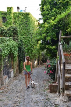 Green years / Young girl with little dog in the green of an old country