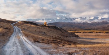 On the roads of the Altai / ***