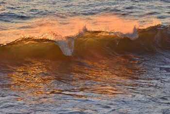 golden wave at sunset / golden sea wave at sunset