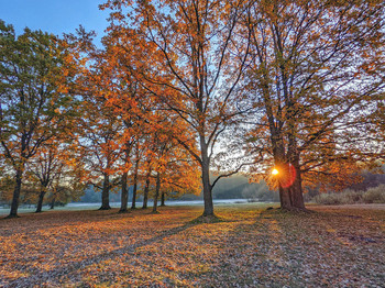 With the first rays / ***