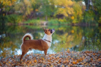 &nbsp; / https://www.youtube.com/watch?v=JKPD8jChw94