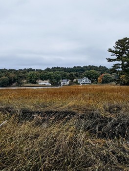 Dreary Day on the Coast / View of three houses through the beach grass on a gray day in NH.