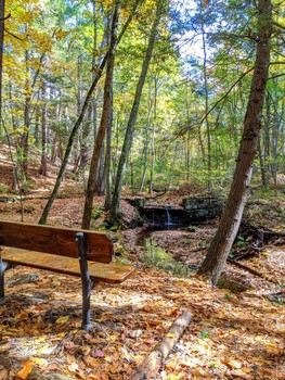 Bench at the Waterfall / A bench for watching and listening to the fall in the stream at Vaughn Woods in ME.