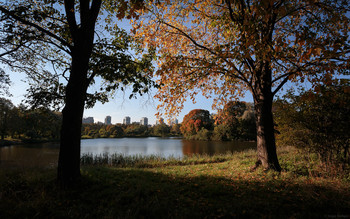 In the fall the park ... / ***