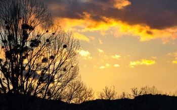 sunset / fascinating view when the sun goes down.