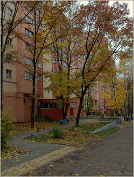 &nbsp; / [img]https://i.imgur.com/CJ2tywK.jpg[/img][img]https://i.imgur.com/Kq94Ohi.jpg[/img]