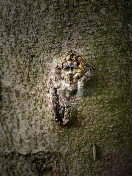 Mouthfull / Wie in einem Film