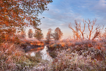 Frosts on Ussa river / 11/10/21