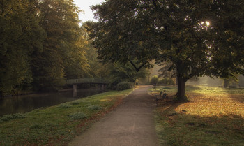 in the park / ***