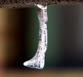 Icefoot / Water trickled down a plank and froze in place, forming a pattern that resembles a leg