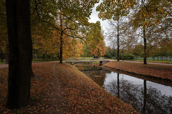 Autumn in the park ... / ***