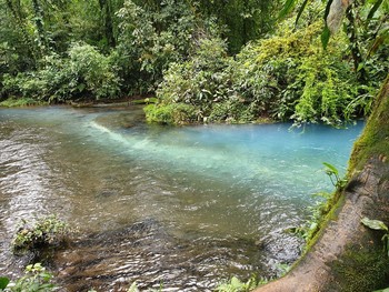 Rio Celeste, Costa Rica / Rio Celeste River