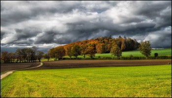 Herbstwald / ***