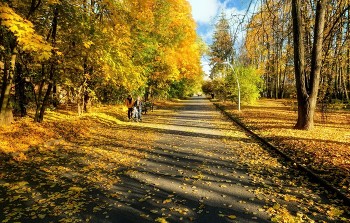 Autumn in the city / ***