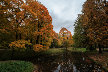 In the fall the park ... / ***