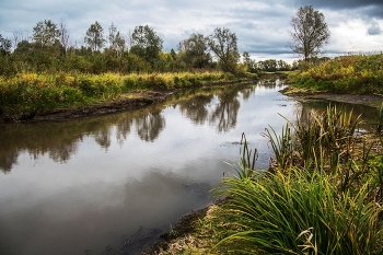 Before the storm / ***