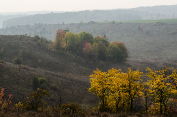 Golden Autumn / ***