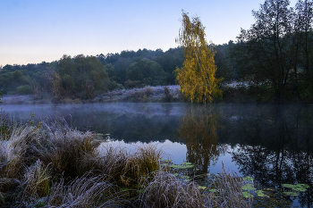 Autumn landscape. / ***