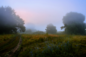 Fog at dawn. / ***