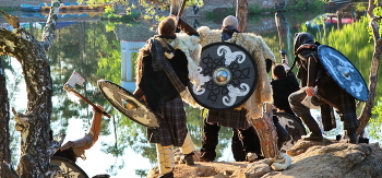Vikings / ***