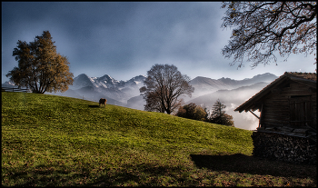 In den Alpen / Herbst