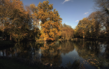 Autumn Pond / ***