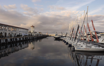 morning in the port / ***