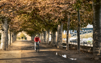 Autumn alley / ***