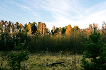 Autumn evening / ***