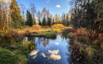 colors of autumn / ***