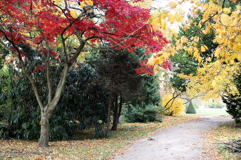 Autumn colors / ***