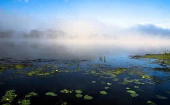 On the Oka River. / ***