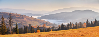 Carpathian. Sunny Autumn / ***