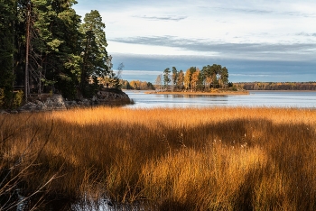 Autumn in Mon Repos / ***