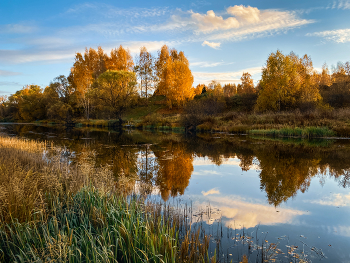 colors of autumn / ***