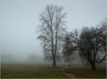 in the autumn mist / [img]https://i.imgur.com/pmUldO1.jpg[/img]