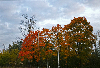 Beginning of autumn / ***