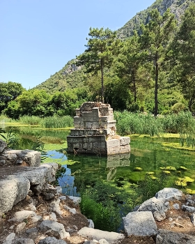 Green / lake in the forest