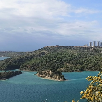 Green and blue / the sea meets with earth