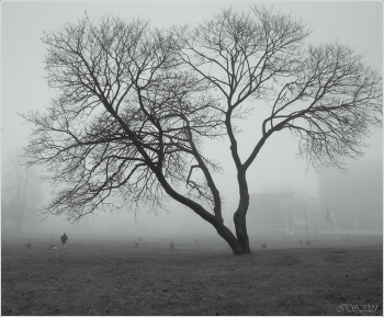 in the autumn mist / [img]https://i.imgur.com/zAdJjsb.jpg[/img]