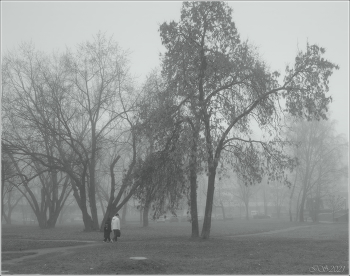 in the autumn mist / [img]https://i.imgur.com/ZRMQSKU.jpg[/img]